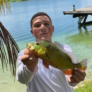 Meet your Posher, Joaquin